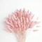 120 PCS Pink Dried Pampas Grass Decor, 17-inch Pompas Floral(Pink)